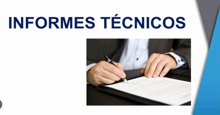 Ejemplo de Informe Técnico Profesional 2025